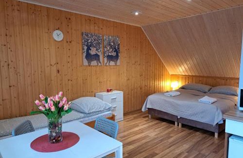 Powidz Apartamento | Noclegi Pod Modrzewiem