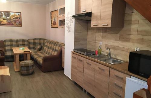 Niedzica Apartamento | Nocowanie w młynie