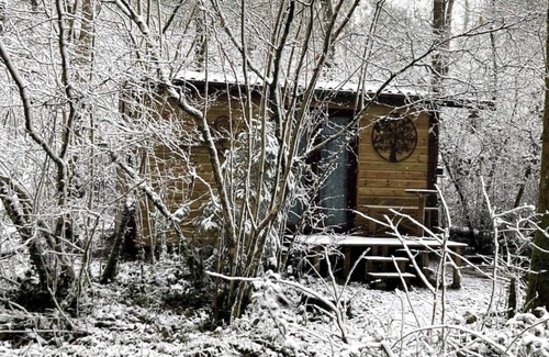 Cowbridge Cabina | Noddfa (refuge/sanctuary) off-grid woodland retreat near ediculture community