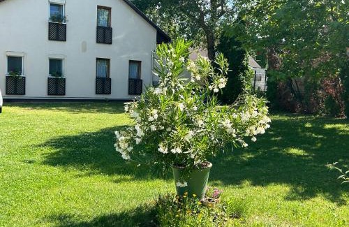 Siofok Aranypart Apartamento | Noemi89 Apartman