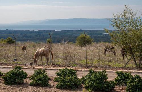 Had Nes Cabina | Nof Kinneret Cabins