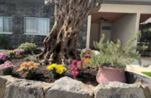 Yavne'el Casa | Noga Resort- romantic and peaceful place.