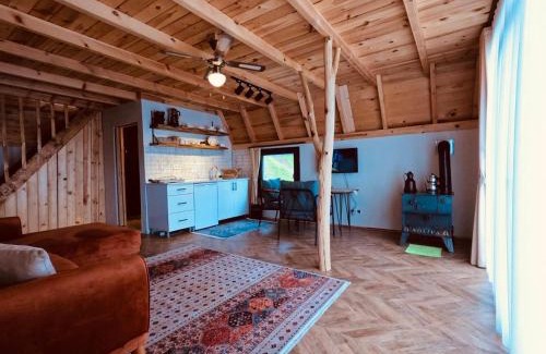 Ardesen Cabina | NOLİVA SUİT BUNGALOV