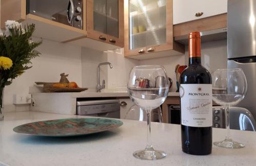Providencia Apartamento | #NomadLife en Providencia Apartamento Flexible