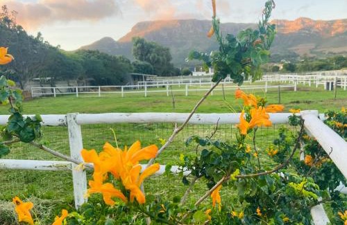 Noordhoek Casa | Noordhoek The Lookout