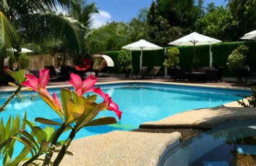 Danao Complejo | Nora's Place