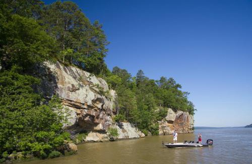 Dardanelle Casa | Nordins Hillside Cottage
