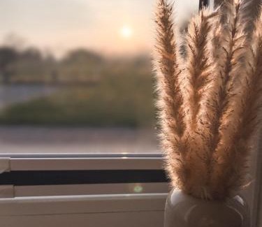 Tumlauer Koog Apartamento | Nordisch Nature Apartments