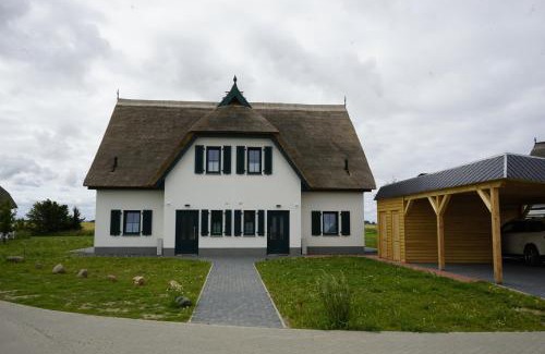 Trent Casa | Nordlicht II