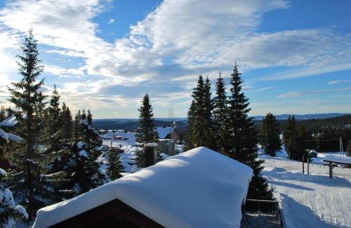 Lillehammer Cabina | Nordseter Fjellpark, Hyttegrend