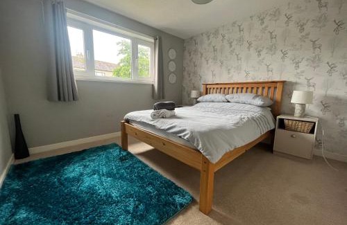 Thurso Casa | North Coast Property - Number 15