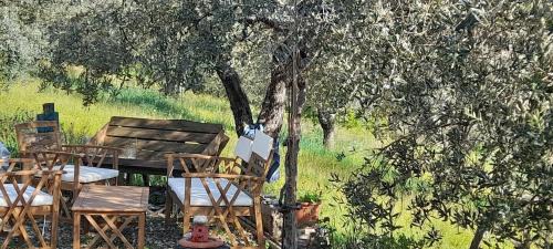 Monteleone Sabino Casa | Nostro Paradiso