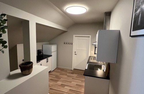 Notodden Apartamento | Notodden Sentrum Apartment NO 12