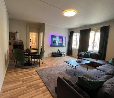 Notodden Apartamento | Notodden Sentrum Apartment NO 12