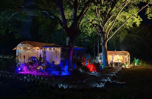 Agua de Dios Otro | Novaglamp Alma, amor y bosque