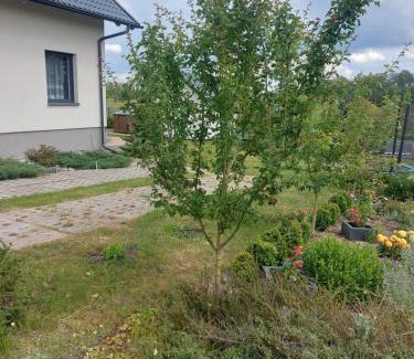Lipusz Casa | Nowa Śluza