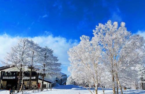 Nozawaonsen Casa | nozawasnow