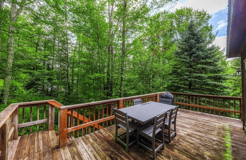 Canaan Valley Casa | 3 bd w / camas queen! Minutos a Davis / Thomas y todas las actividades! ¡Mascota amigable!