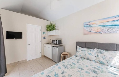Palm Harbor Casa | Sunny Studio Palm Harbor