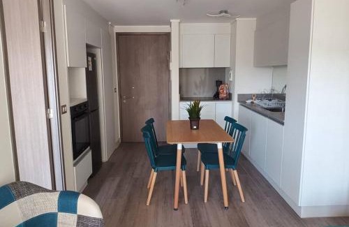 Renaca Apartamento | Nuevo Amoblado, Reñaca.