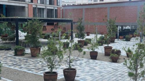 Zapopan Apartamento | Nuevo Departamento Céntrico con Alberca y Parking