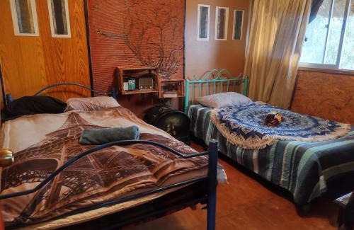 Lo Contador Cama Y Desayuno | NUEVOVALPO hillside homestay