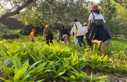 Tan Phu Casa | Nui Tuong Village Stay