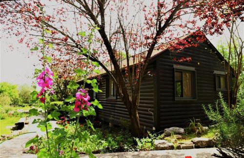 Yokneam Casa | Numa Emek-Countryside Guesthouse in Yokneam Moshava