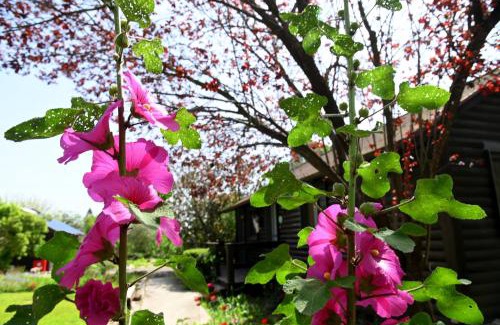 Yokneam Casa | Numa Emek-Countryside Guesthouse in Yokneam Moshava