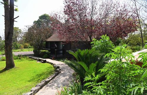Yokneam Casa | Numa Emek-Countryside Guesthouse in Yokneam Moshava