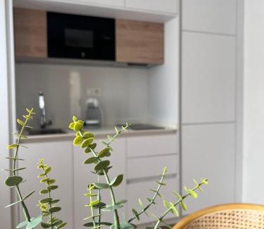 Soria Apartamento | Numancia Suites
