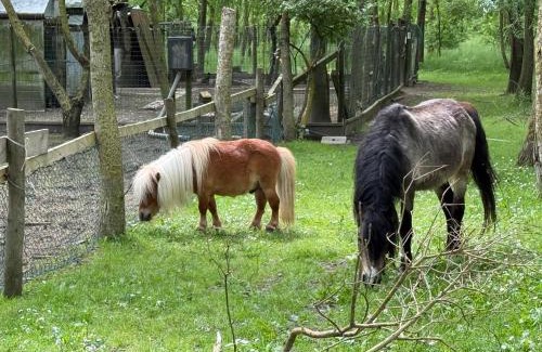 Castiglione di Cervia Casa | Nuovo Agriturismo Angelini