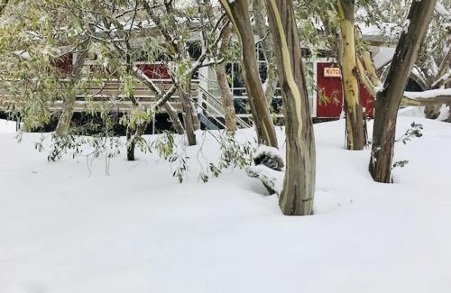 Mount Buller Cabina | Nutcracker Ski Club