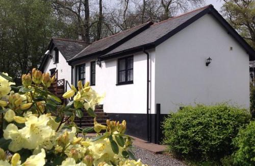 Tiverton Casa | Nuthatch near Huntsham