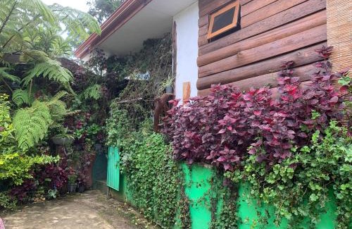 Nuwara Eliya Casa | Nuwara Eliya 2020 Wooden Cabin