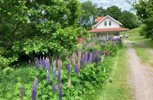 Laholm Casa | Ny Flintarp