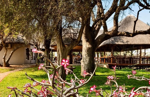 Maruleng Cabina | Nyati Safari Lodge