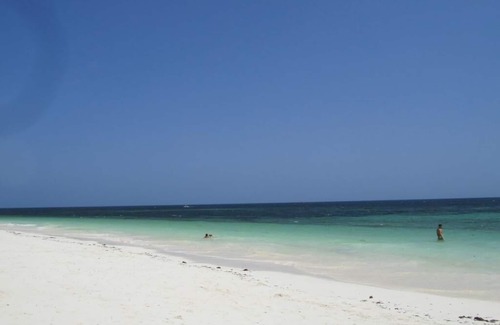Gede Villa | NYOTA VILLA WATAMU