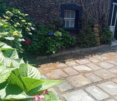 Angra do Heroismo Apartamento | O Anexo