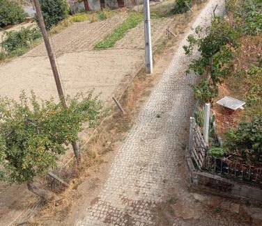 Arcas Casa | O cantinho d'abelheira