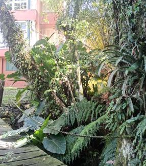 Bairro Lago Negro Apartamento | O Fada da Floresta é seu refúgio p/até 4 pessoas
