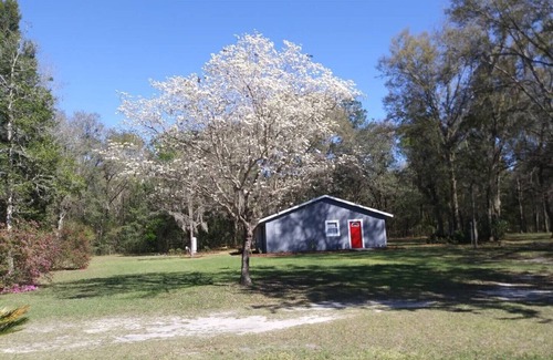 Lake City Casa | O'LE LADYBUG COTTAGE