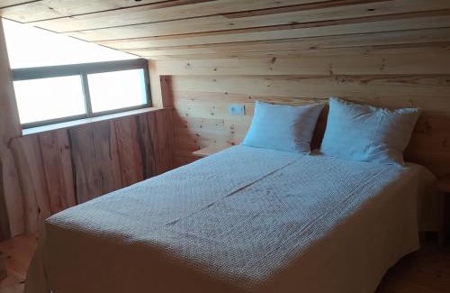 A Guarda Apartamento | O soño das árbores