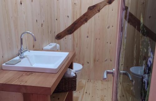 A Guarda Apartamento | O soño das árbores