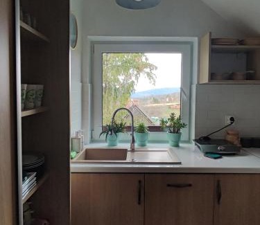 Wetlina Casa | O'Sowa Noclegi Wetlina