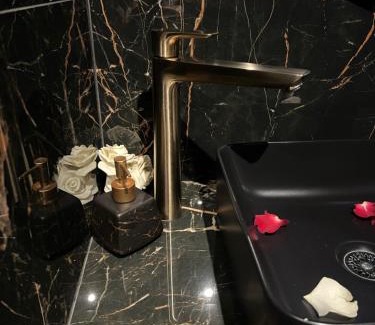Aix-les-Bains Apartamento | O2M Aix les bains
