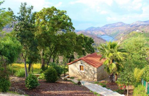 Ferreira do Zezere Casa | Oak Cottage