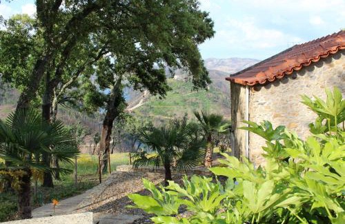 Ferreira do Zezere Casa | Oak Cottage