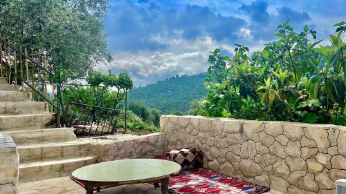 Suwailih Casa | Oak Farm مزرعة الملّول