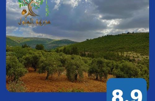 Suwailih Casa | Oak Farm مزرعة الملّول